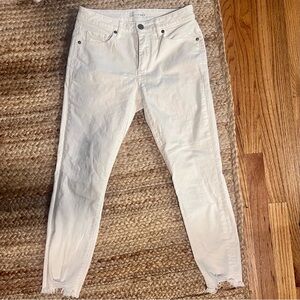 Loft Curvy Skinny Crop Jeans